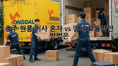 충주 원룸 이사, 혼자 vs 업체? 효율적인 방법은?