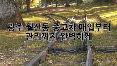 광주 월산동 중고차 매입부터 관리까지 완벽하게!